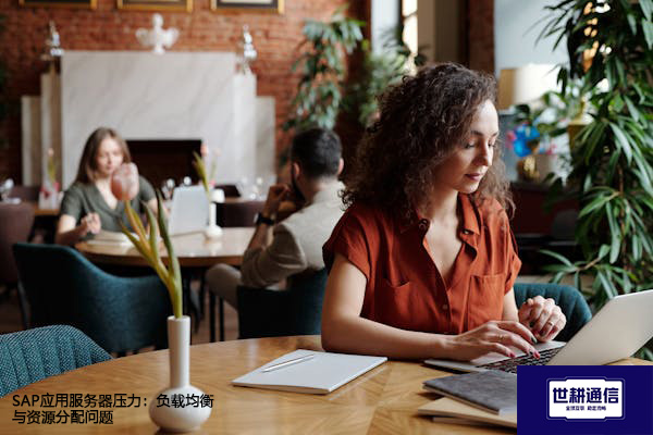 SAP应用服务器压力:负载均衡与资源分配问题???解决方案//shigengtelecom 全球专网 SAP应用服务器压力:负载均衡与资源分配问题???解决方案//shigengtelecom 全球专网