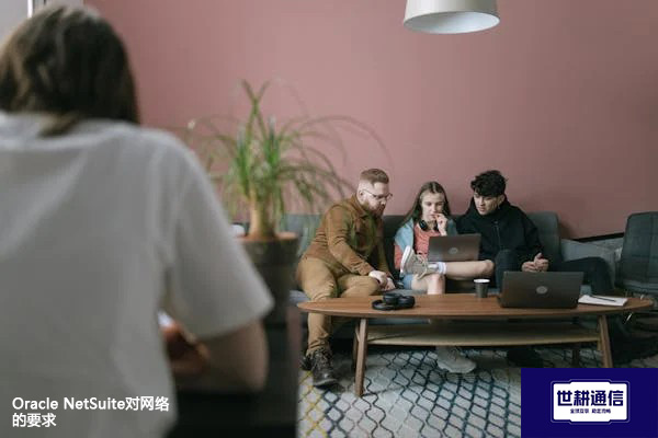 Oracle NetSuite对网络的要求？？？解决方案//shigengtelecom 全球专网