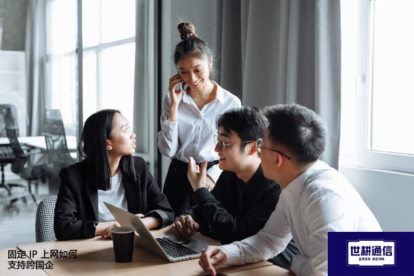 固定IP上网如何支持跨国企？？？解决方案//shigengtelecom 全球专网