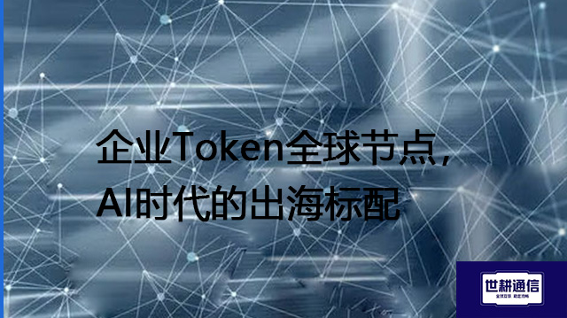 企业Token全球节点，AI时代的出海标配？？？解决方案//shigengtelecom 全球专网