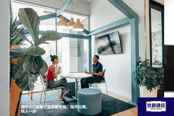 海外IDC部署开发者服务包:技术出海,快人一步???解决方案//shigengtelecom 全球专网 海外IDC部署开发者服务包:技术出海,快人一步???解决方案//shigengtelecom 全球专网