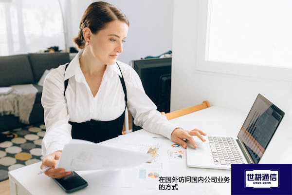 在国外访问国内公司业务的方式???解决方案//shigengtelecom 全球专网 在国外访问国内公司业务的方式???解决方案//shigengtelecom 全球专网
